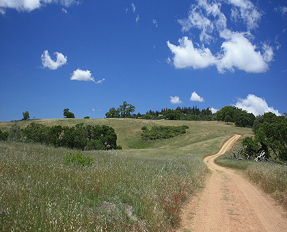 henry coe state park day trips